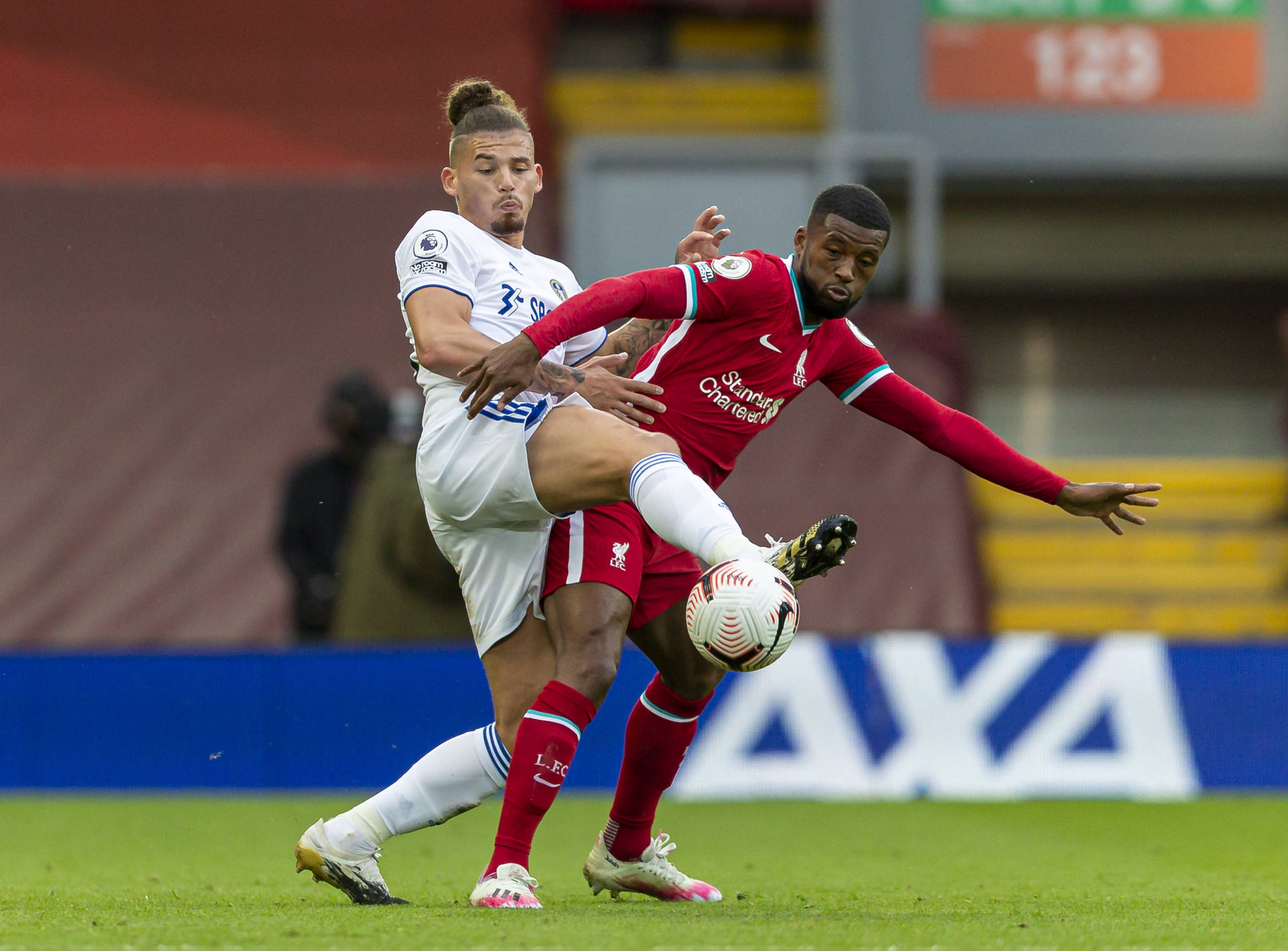 花多年的核 花多年的核